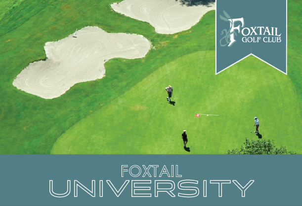 Foxtail University Flyer logo v1